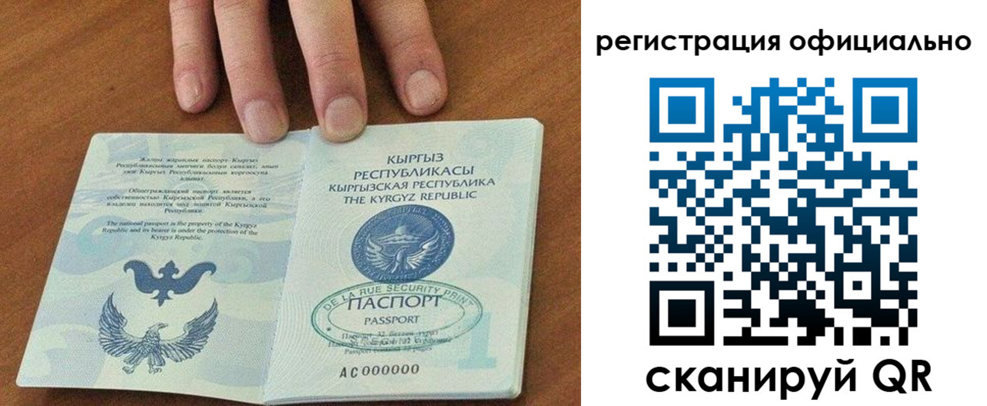 прописка в Могочи